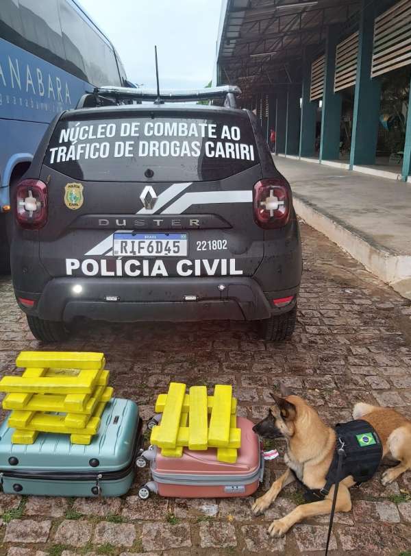 Tráfico interestadual de drogas - Foto: Divulgação/Polícia Civil