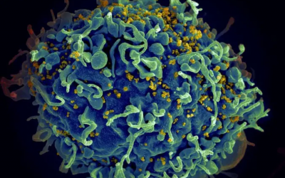 HIV/Aids: descobertas mostram que cura e vacina podem estar próximas